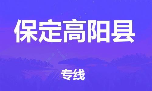 深圳到保定高陽縣物流專線-為冷鏈行業(yè)保駕護(hù)航深圳至保定高陽縣貨運(yùn)